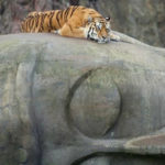 Calming Hypertension Blog