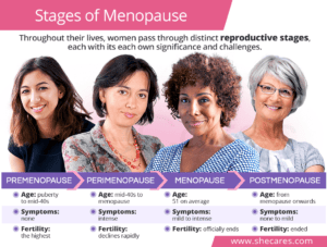 Stages Of Menopause