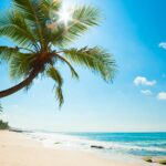Hawaii Oceanfront
