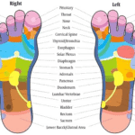 Reflexology