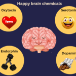 Happy Hormones