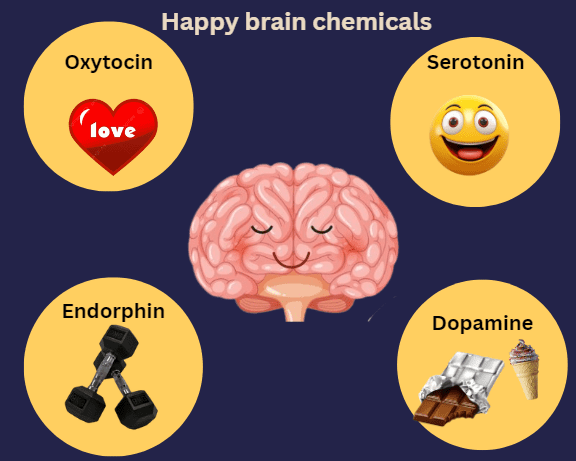 happy hormones