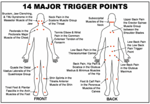 Trigger Point Massage Therapy Massage Therapy Center