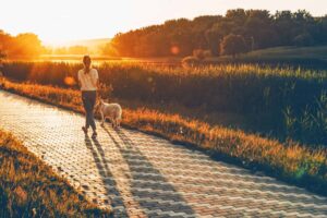 Walk In Sun
