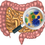 Massage Therapy Center Microbiome