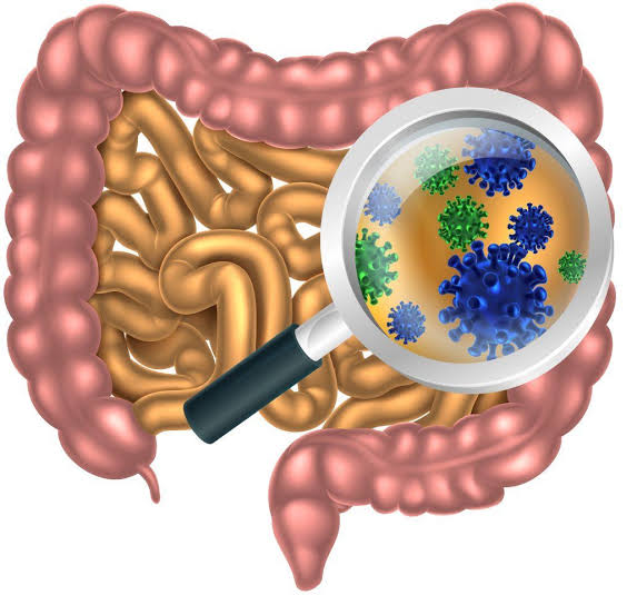 Massage Therapy Center Microbiome